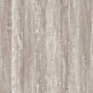 Pine Wood F7281