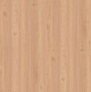Elm F7339