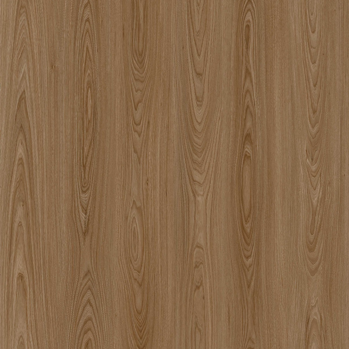 Factory Price For Adhesive Furniture Films - Elm M9037 – Fimo detail pictures