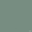 Green S10001