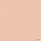 S10103 Chocolate Milk