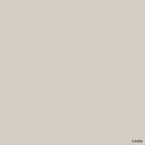 S10106 Khaki