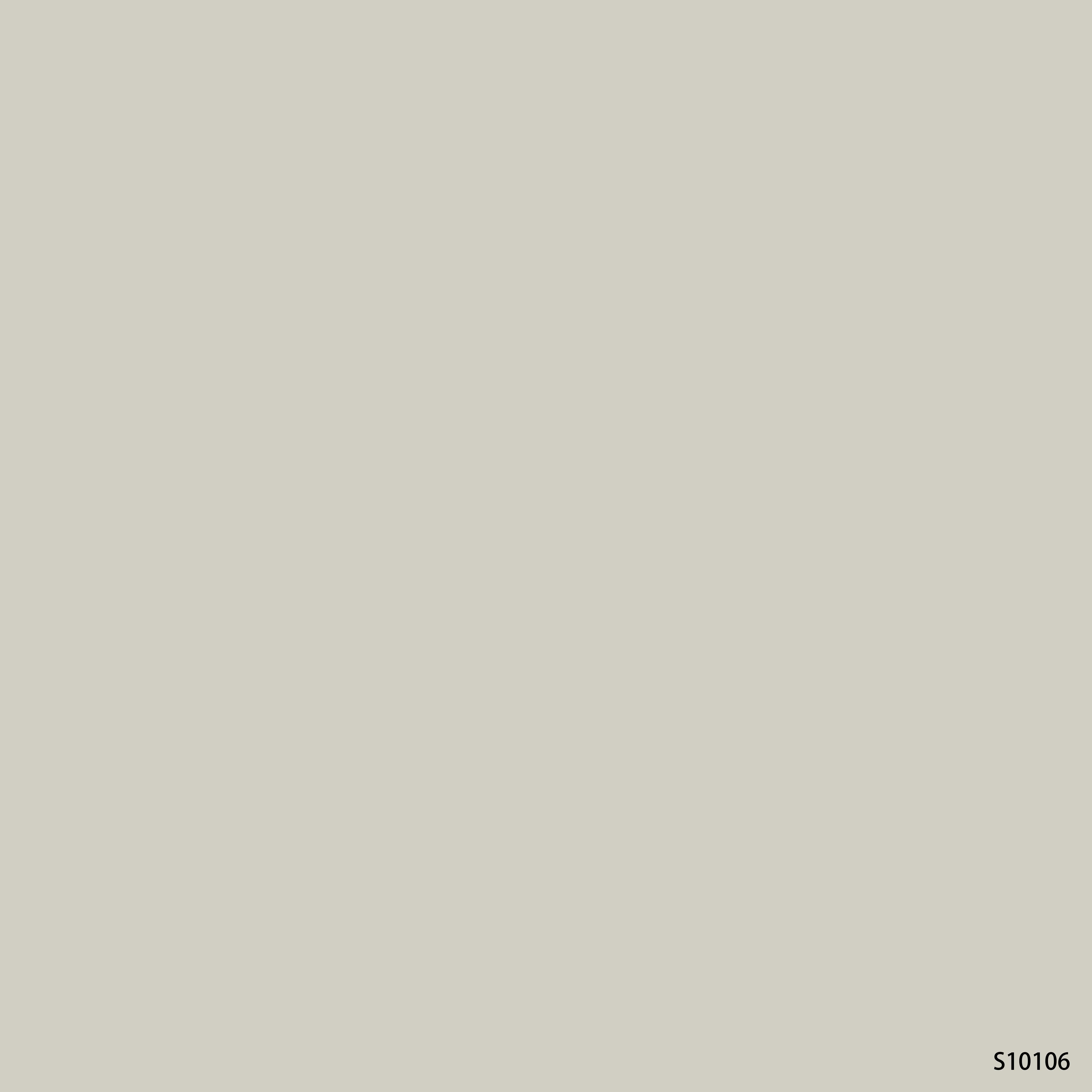 S10106 Khaki