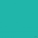 S10110 Seaweed Green