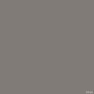S10124 Coco Color