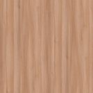 Elm F7406