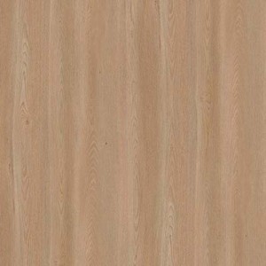 Oak M9004