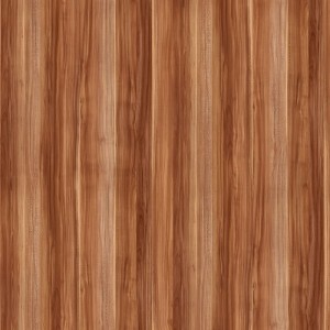 Elm F7189