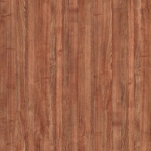 Elm F7164