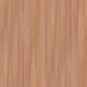 Elm F7292
