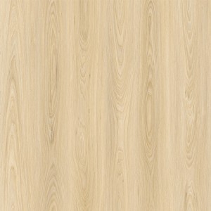 Elm M9037
