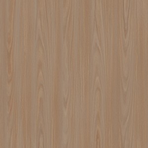 Parson Eucaly M91069